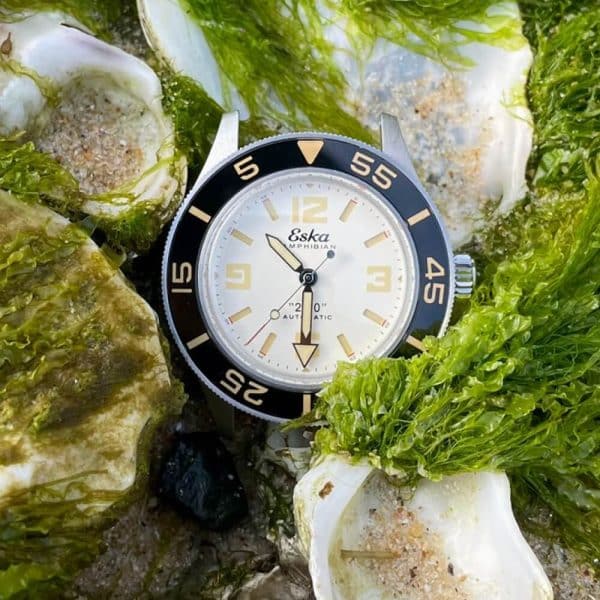 Amphibian 250 WHITE SHARK – Image 2