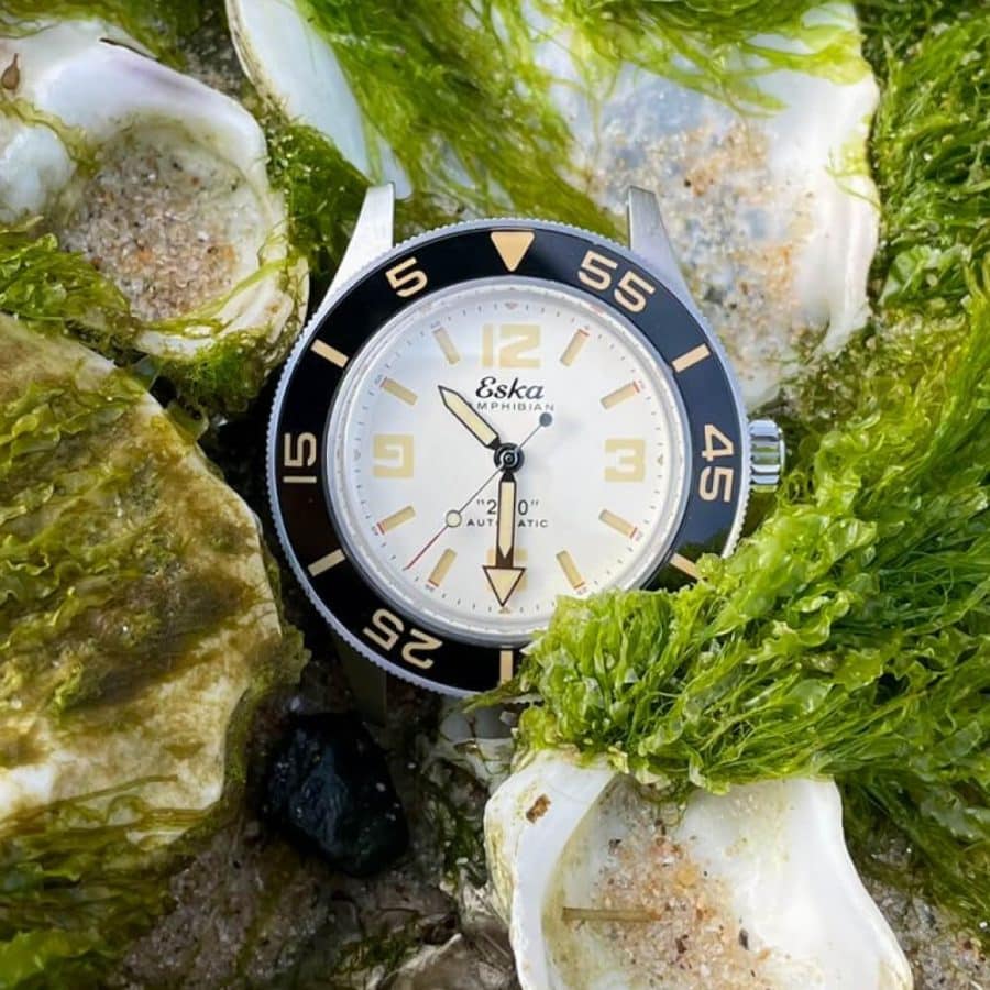 Amphibian 250 WHITE SHARK